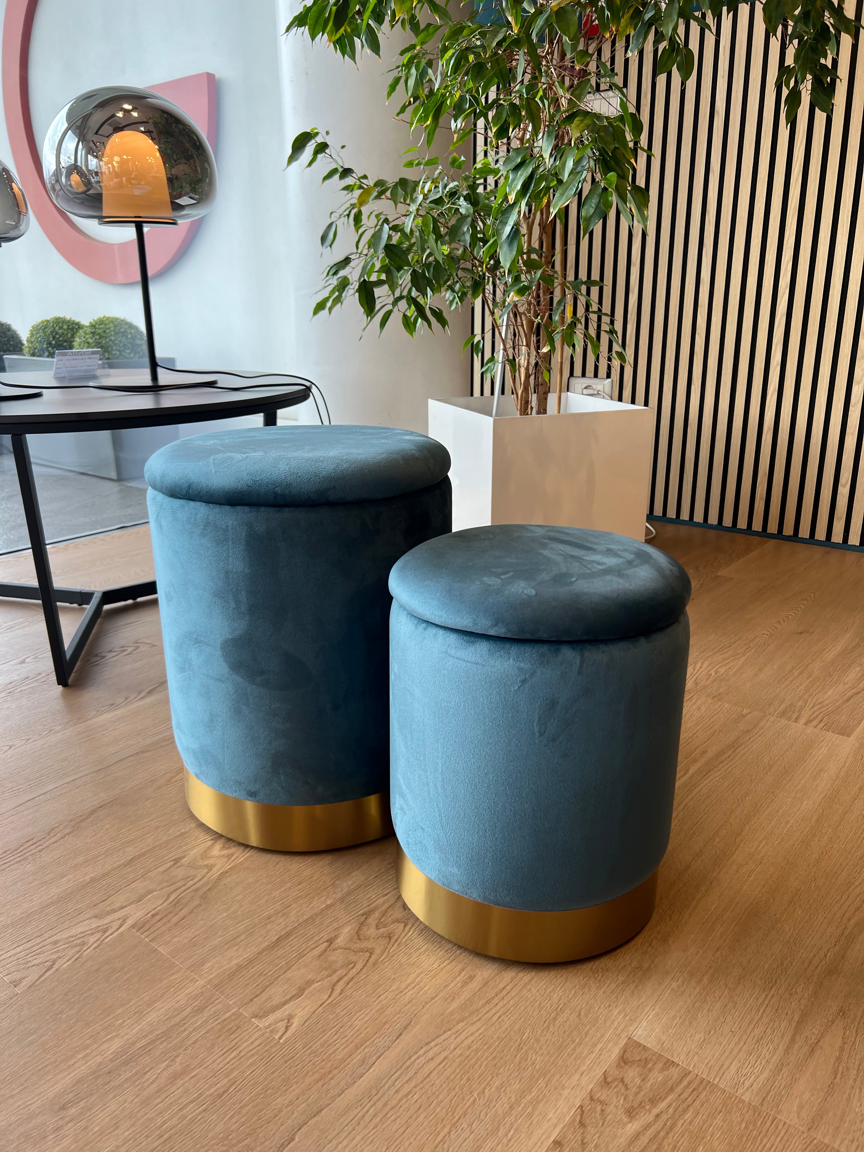 Set 2 Pouf contenitori - Pavone
