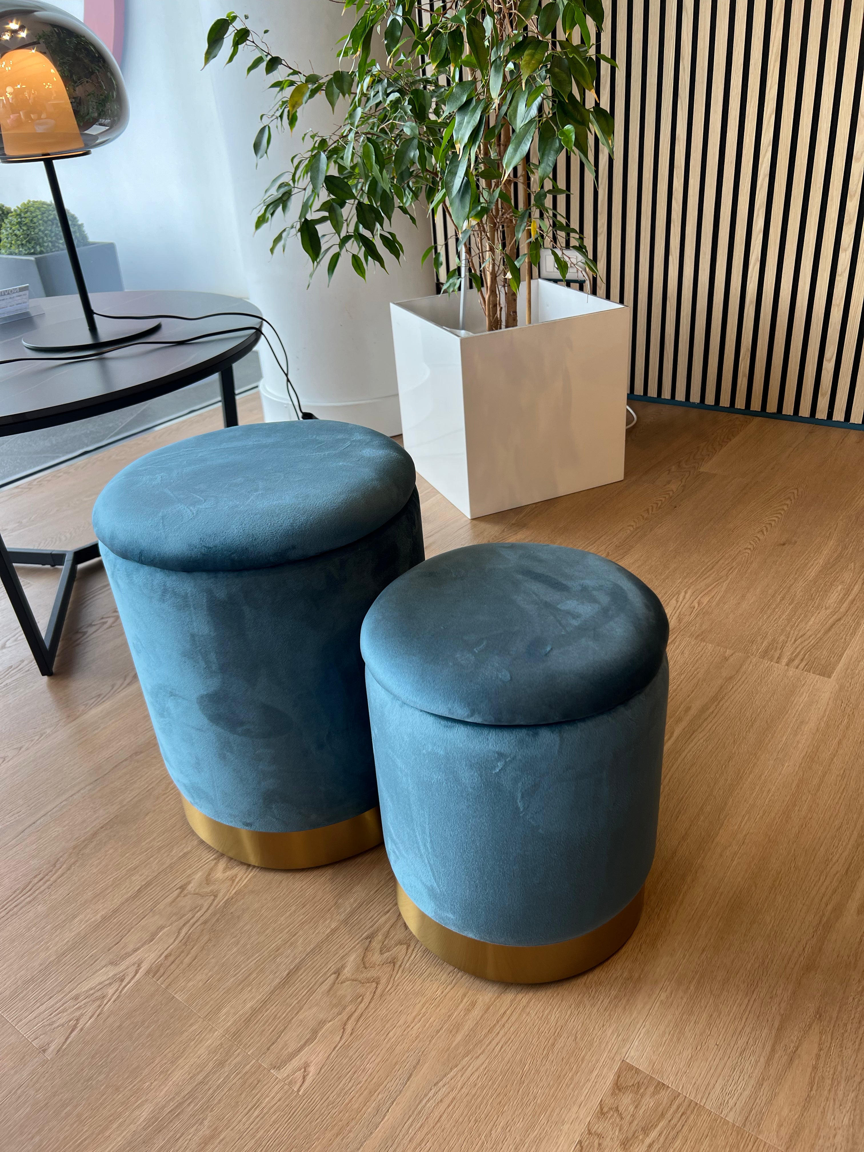 Set 2 Pouf contenitori - Pavone